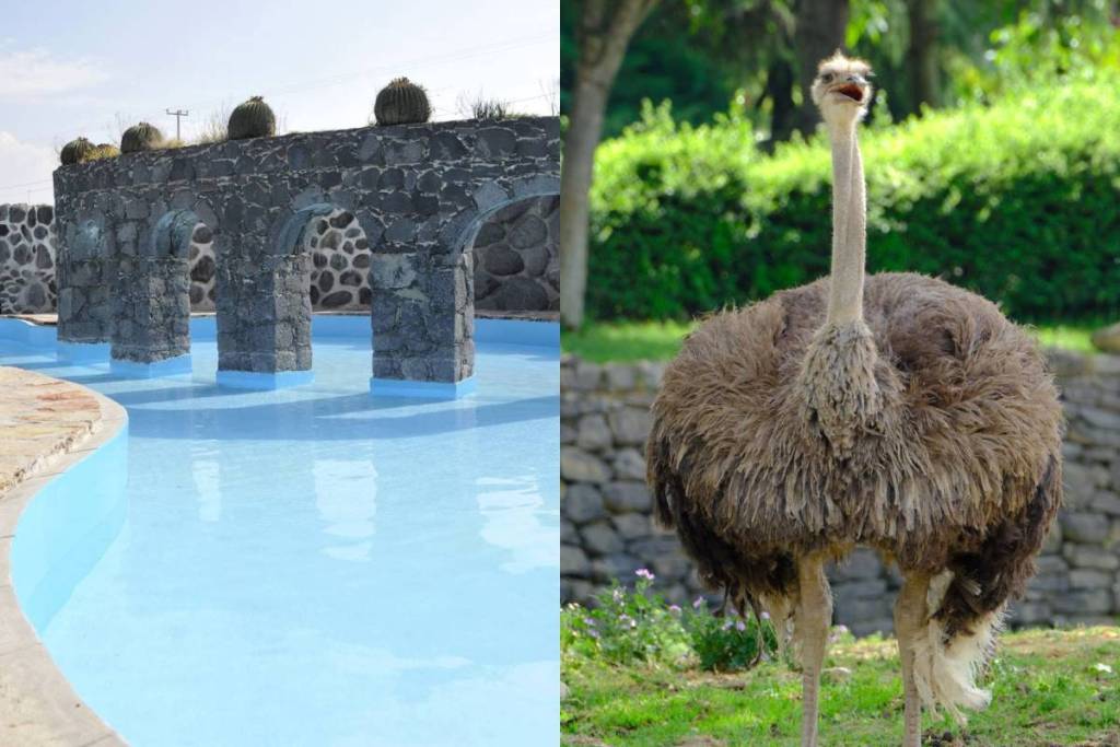 Bioparque Taxhido en Hidalgo