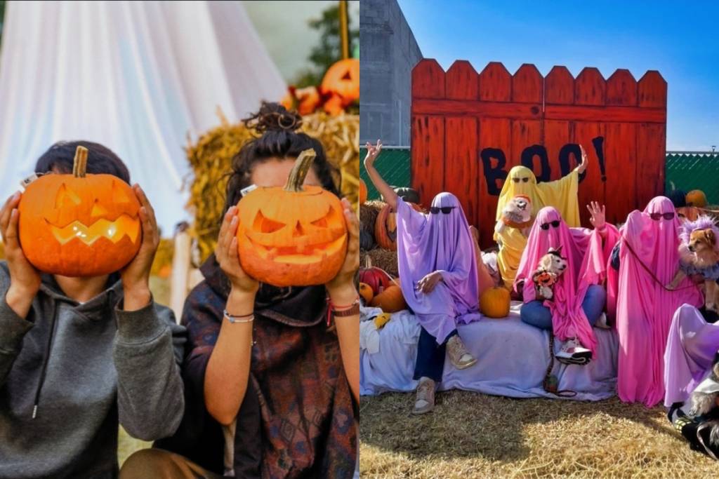 Pumpkin Zone 2026