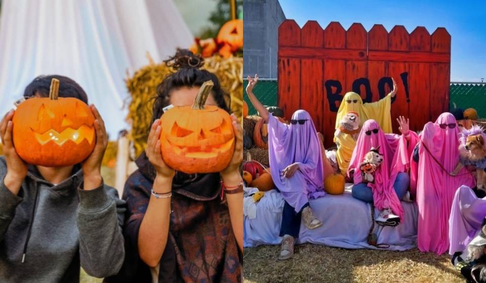 Pumpkin Zone 2026: cine, pasaje de terror y un enorme huerto de calabazas cerca de CDMX