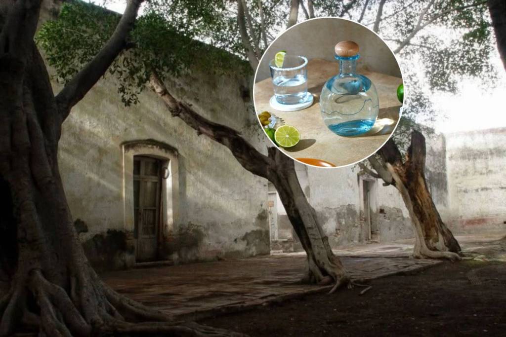 2026 Tehuacán Mezcal Festival