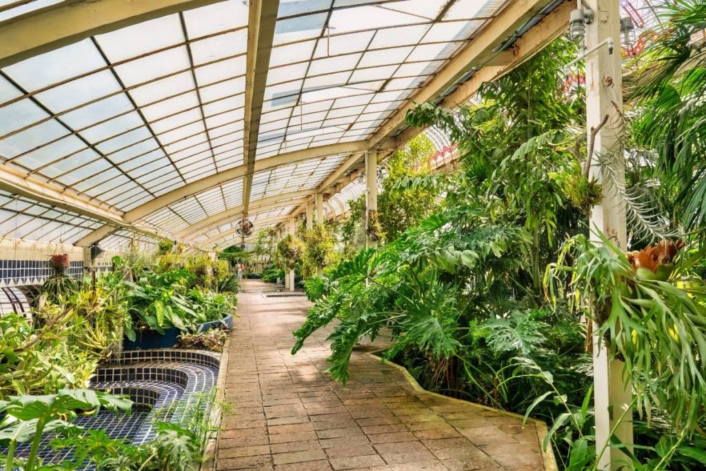 Chapultepec Orchid House