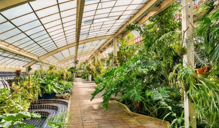¡Será una de las más grandes de Latinoamérica! Así rehabilitan el Orquideario de Chapultepec
