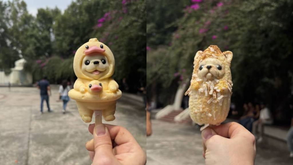 Popsicles shaped like a puppy dressed up as an ear of corn: this stand in the Ramón López Velarde Garden sells them ready-made for 70 pesos, but it’s only open for four hours on weekends.