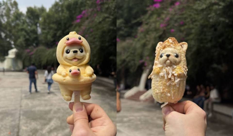 Corn-on-a-Stick Popsicles at López Velarde Park (Video)