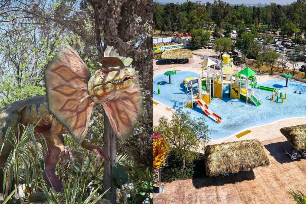 water park dinosaurs dinoasis