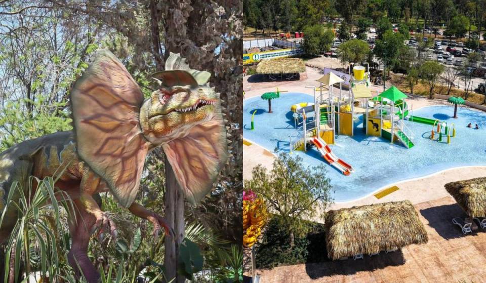 The water park with giant dinosaurs and pools will offer free admission for the last few days of summer break: dates and how to take advantage of the promotion