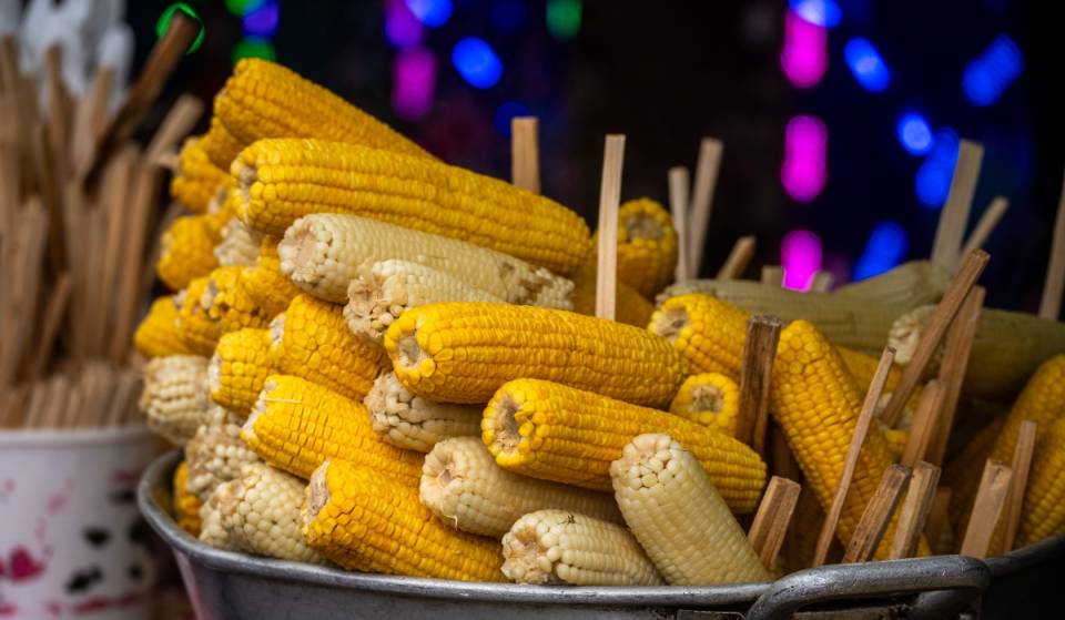 The 2026 National Corn Festival is coming soon! It will feature a Guelaguetza and traditional dishes—admission is free.