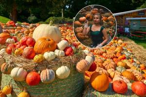 El Festival de Calabazas a solo una hora de CDMX que tendrá danzas de brujas blancas, hadas del otoño y un bazar mágico