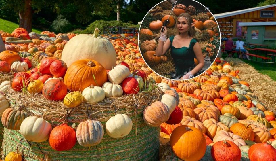 The Pumpkin Festival, just an hour from Mexico City, will feature white witch dances, autumn fairies, and a magical bazaar