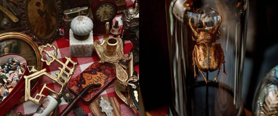Encuentra antigüedades, decoración macabra y otras curiosidades en Está Raro Bazar de CDMX