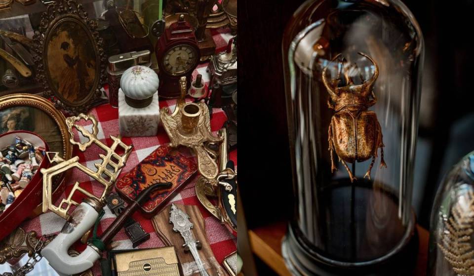 Find antiques, macabre decor, and other curiosities at the Está Raro Bazaar in Mexico City