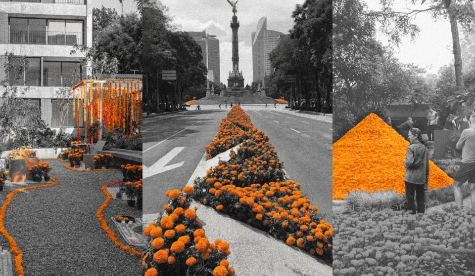 Offerings designed by architects? Open House CDMX returns for the Day of the Dead