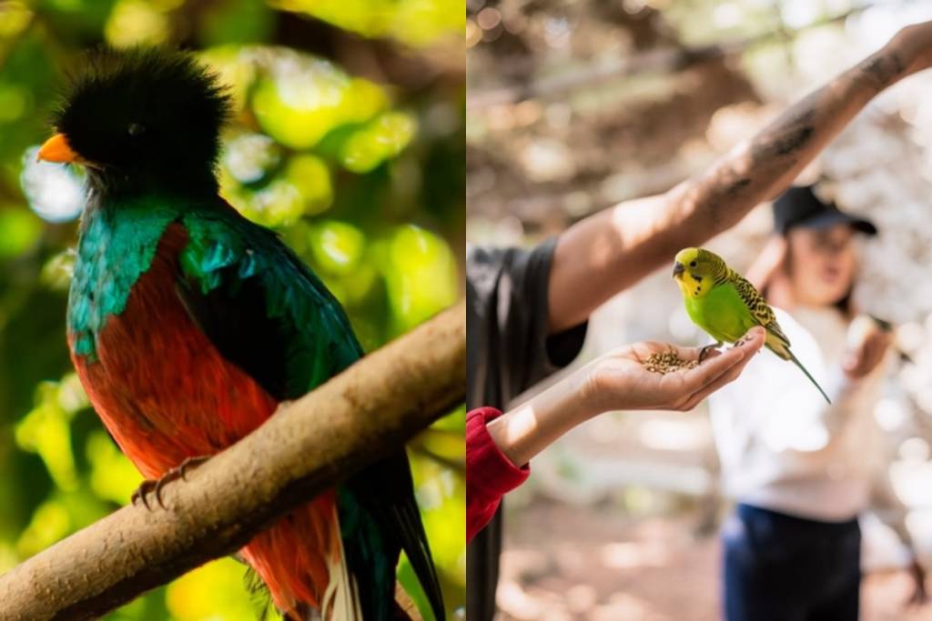 Santuario el Nido promoción septiembre