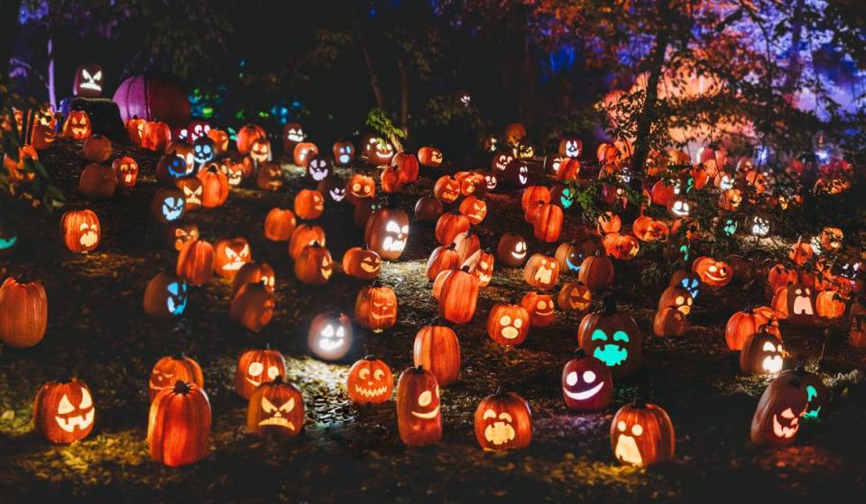 Halloween 2026 in Mexico City: Events, Activities, and Themed Venues