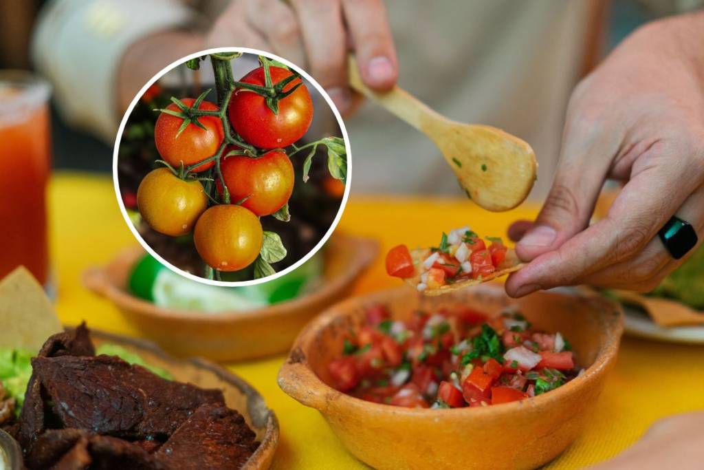 Tomato Fair in Los Pinos this weekend