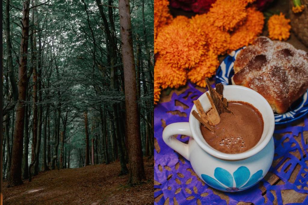 Mitos y Leyendas en el Ajusco