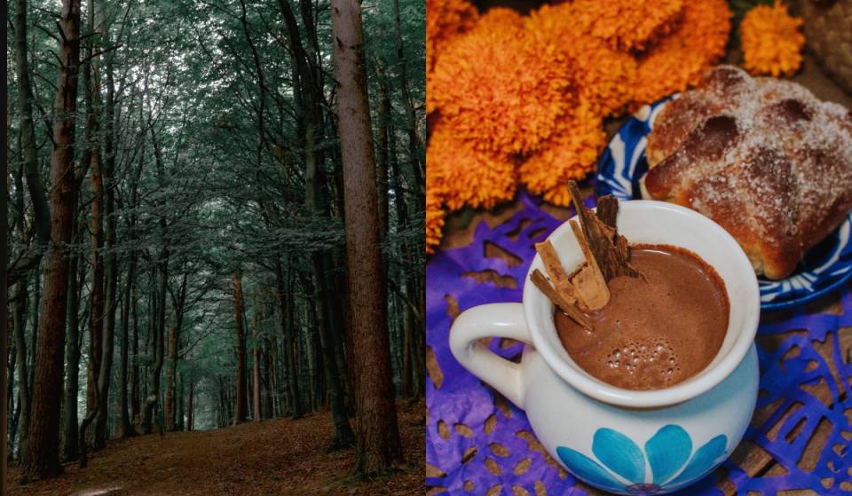 ¡Pan de muerto, fogata y 7 leyendas! Así será esta caminata nocturna por un bosque de CDMX