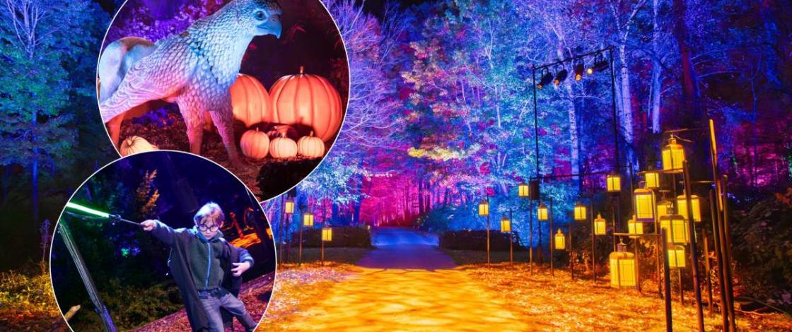 Un misterioso recorrido nocturno de Harry Potter™ transforma el Parque Naucalli a partir del 23 de octubre: conoce la experiencia interactiva con hechizos, criaturas fantásticas y más