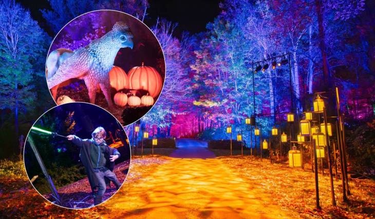 Un misterioso recorrido nocturno de Harry Potter™ transforma el Parque Naucalli a partir del 23 de octubre: conoce la experiencia interactiva con hechizos, criaturas fantásticas y más