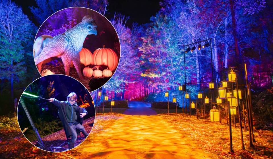 A mysterious Harry Potter™ nighttime tour transforms Naucalli Park starting October 23: discover the interactive experience featuring spells, fantastic creatures, and more