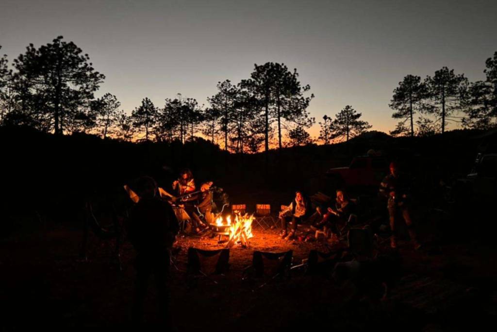 Lobo Glamp
