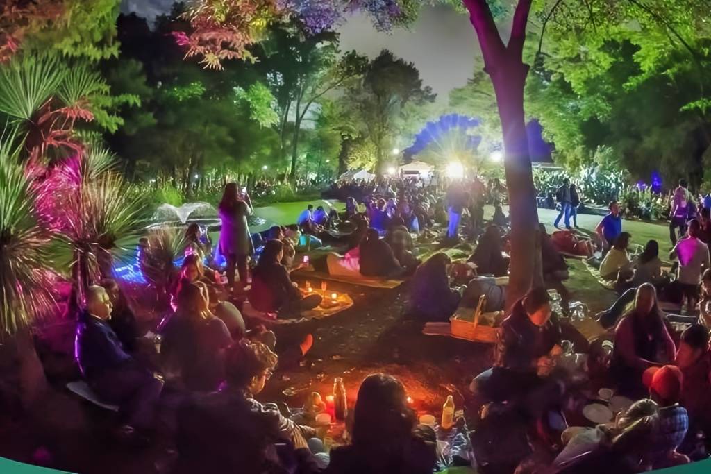 Picnic Nocturno en el Parque Tezozómoc