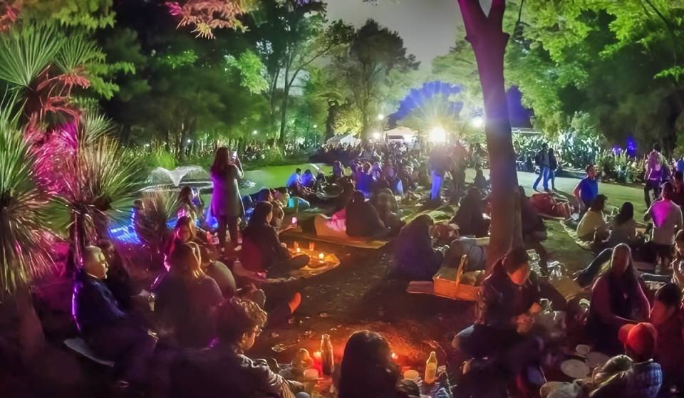 ¡Totalmente GRATIS! Este viernes hay Picnic Nocturno en el Parque Tezozómoc