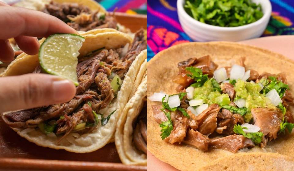 Barbecue, carnitas, and quesadillas buffet with handmade tortillas: all-you-can-eat for just $220