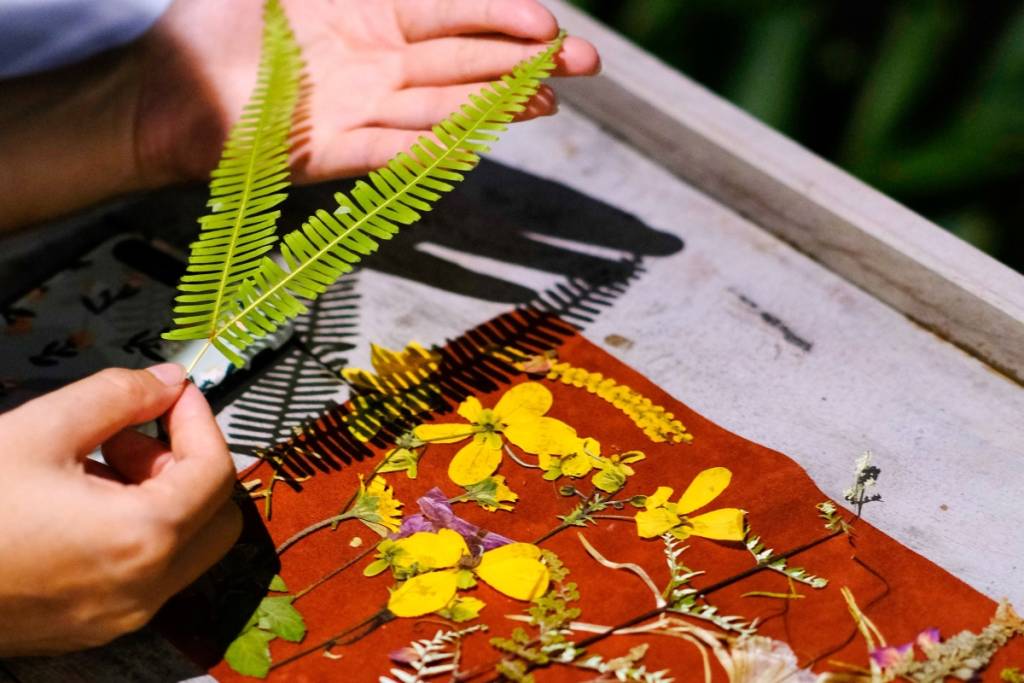 Botany of the Occult at the UNAM Botanical Garden