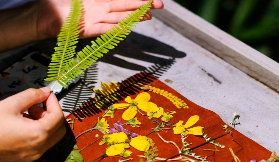 Botany of the Occult: There will be tours focusing on sacred plants and rituals in this UNAM garden