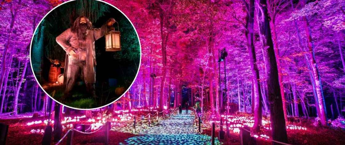 The magical Harry Potter™ Forbidden Forest arrives just minutes from Mexico City on October 23 with an immersive nighttime tour at Naucalli Park