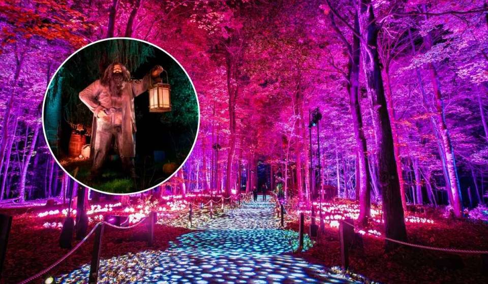 El mágico Bosque Prohibido de Harry Potter™ llega a minutos de la CDMX este 23 de octubre con un recorrido nocturno inmersivo en el Parque Naucalli