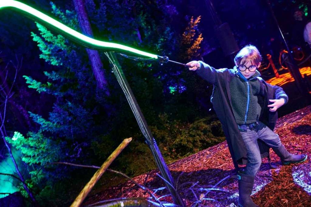 Harry Potter Forbidden Forest
