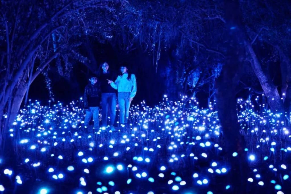 Light Cycles