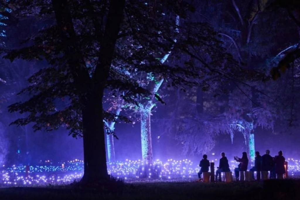 Light Cycles