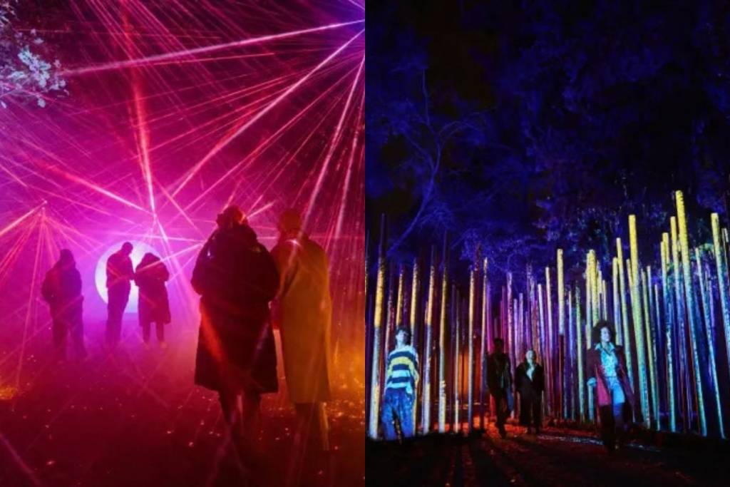 Light Cycles 