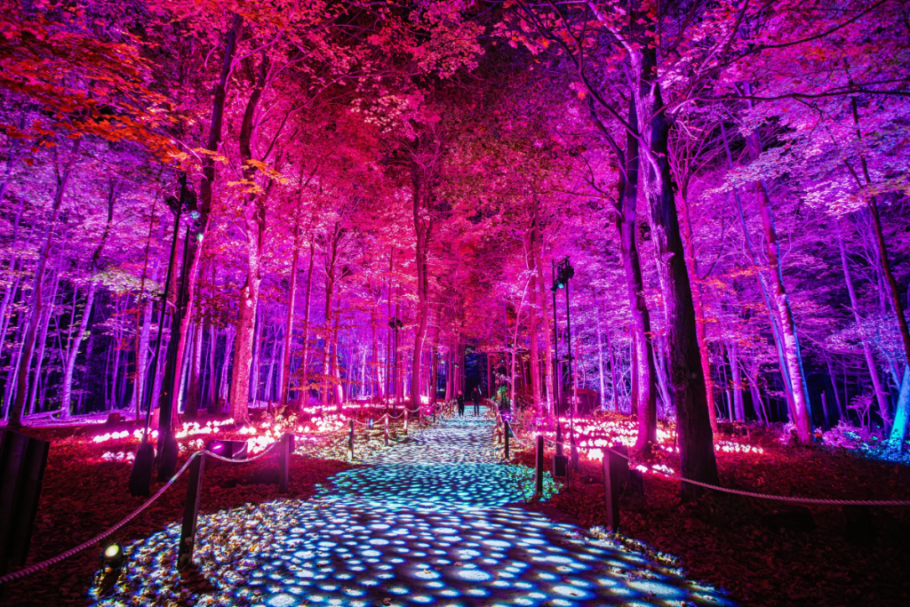 events november 2026 mexico city