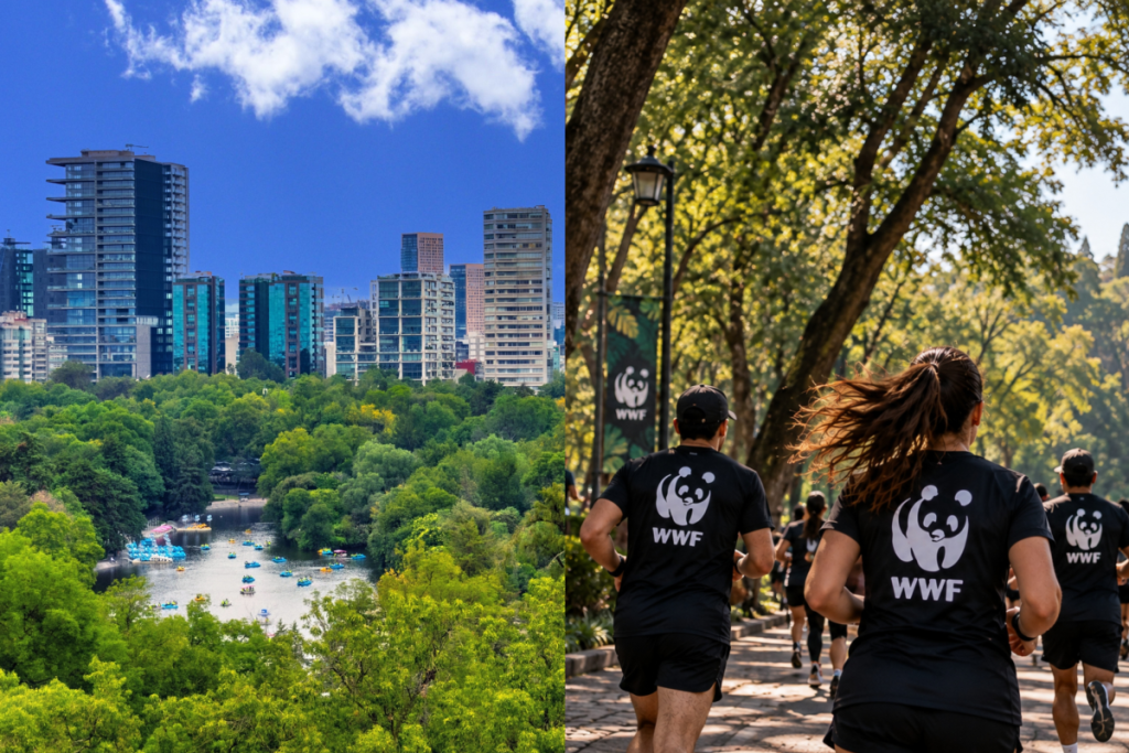 WWF Mexico City Race