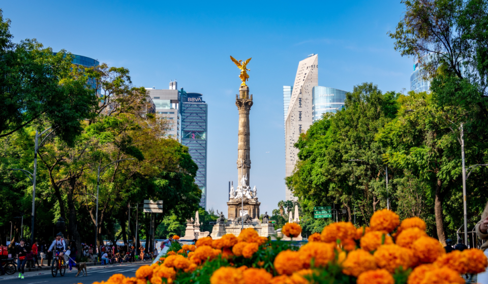 Reforma Turns Orange! Dates and Details for the 2026 Cempasúchil Flower Festival