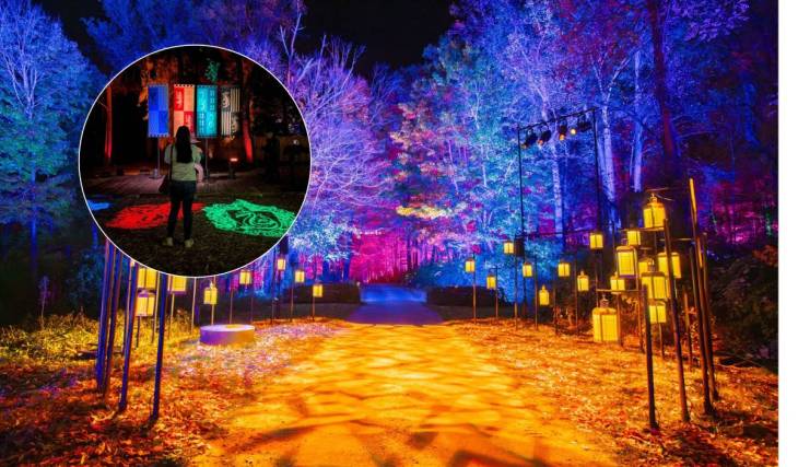 Magia, criaturas ocultas y efectos interactivos en medio de la noche: así es la nueva experiencia de Harry Potter™ en el Parque Naucalli y lo que debes saber antes de ir