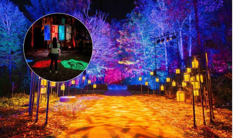 Magic, hidden creatures, and interactive effects in the middle of the night: that’s the new Harry Potter™ experience at Naucalli Park—and here’s what you need to know before you go