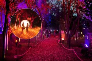 Vuelve la experiencia surrealista más esperada de CDMX: así es el mágico recorrido nocturno que iluminará el Bosque de Chapultepec