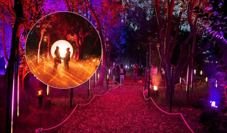 Vuelve la experiencia surrealista más esperada de CDMX: así es el mágico recorrido nocturno que iluminará el Bosque de Chapultepec
