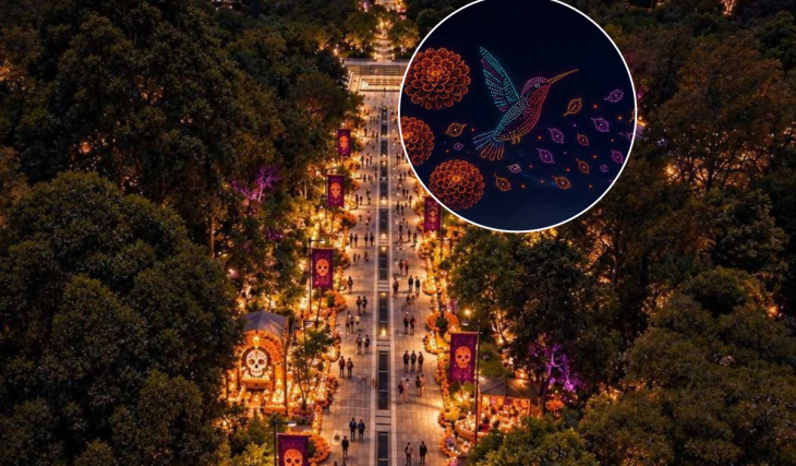 Horarios para ver el show de drones de Día de Muertos en el Bosque de Chapultepec: la entrada es gratis