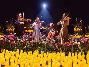 This Massive Spring Experience Is Coming To The National Underground Railroad Freedom Center For A Short Time Only