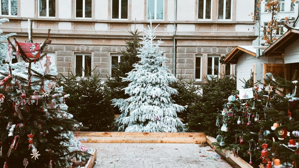 marchés aux sapins de noel genève