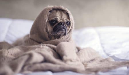 Pourquoi le confinement perturbe notre sommeil et comment y remédier ?