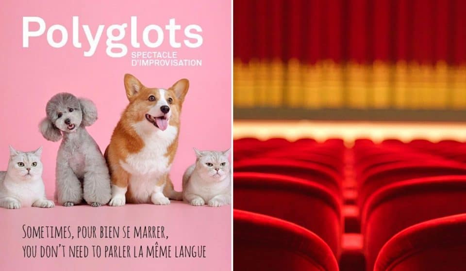 Polyglots : un spectacle d&rsquo;improvisation qui s&rsquo;annonce surprenant