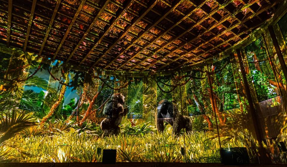 Une jungle pixelisée version vidéo-mapping investira très bientôt un temple des plus emblématiques à Genève, converti en nouveau haut lieu du divertissement en Suisse