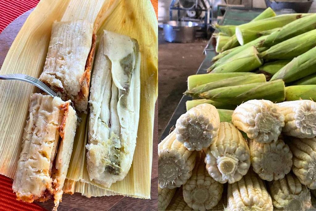 best tamales guadalajara